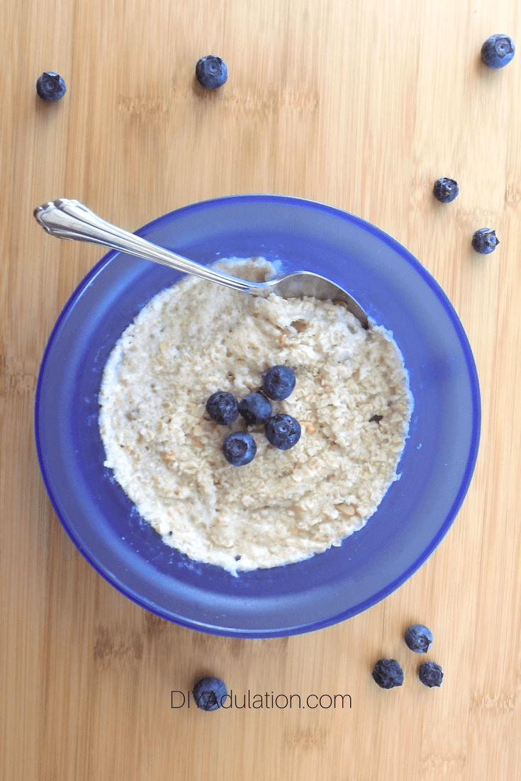 Bowl of Oatmeal with Blueberries