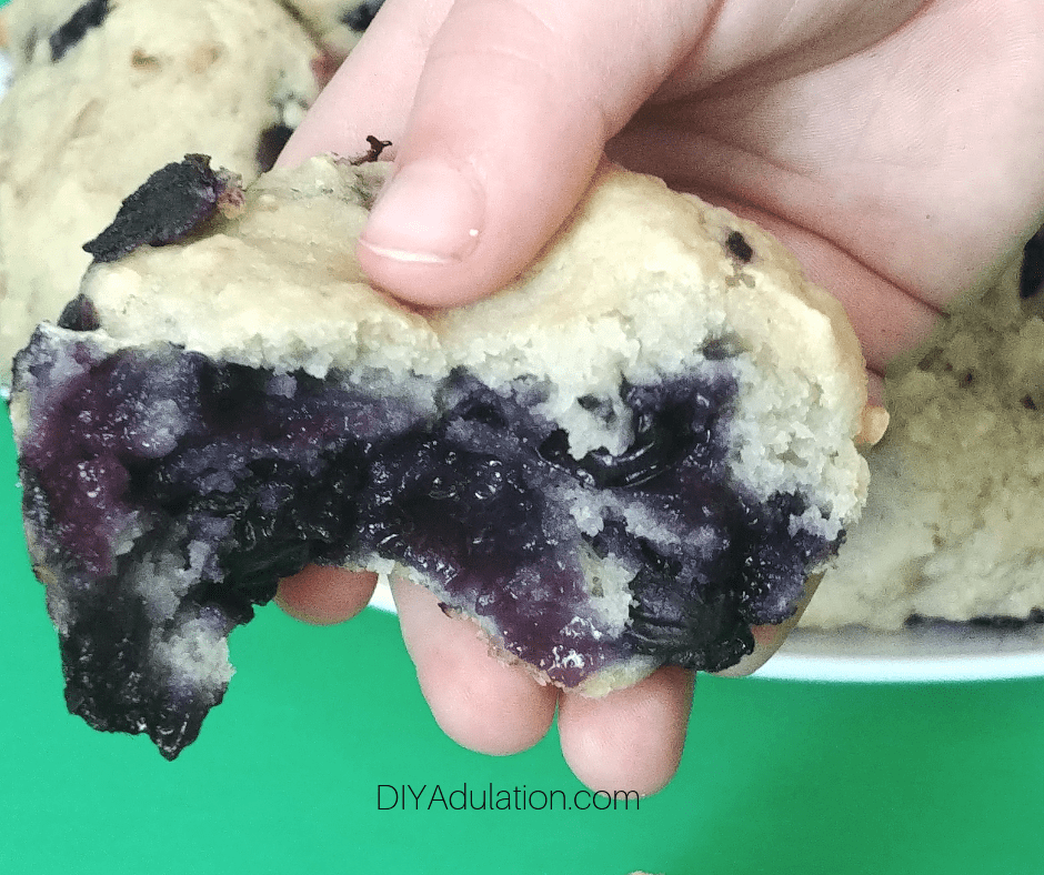 Close Up of Hand Holding Blueberry Muffin Half