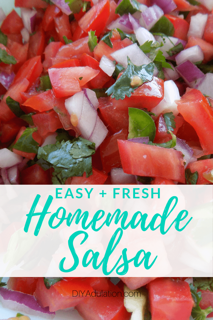 Close Up of Salsa with text overlay - Easy and Fresh Homemade Salsa