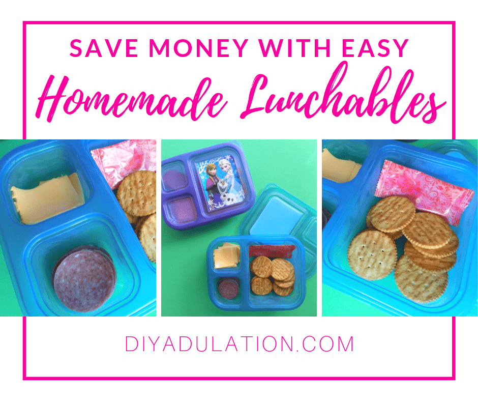https://diyadulation.com/wp-content/uploads/2019/08/FB-Save-Money-with-Easy-Homemade-Lunchables.png