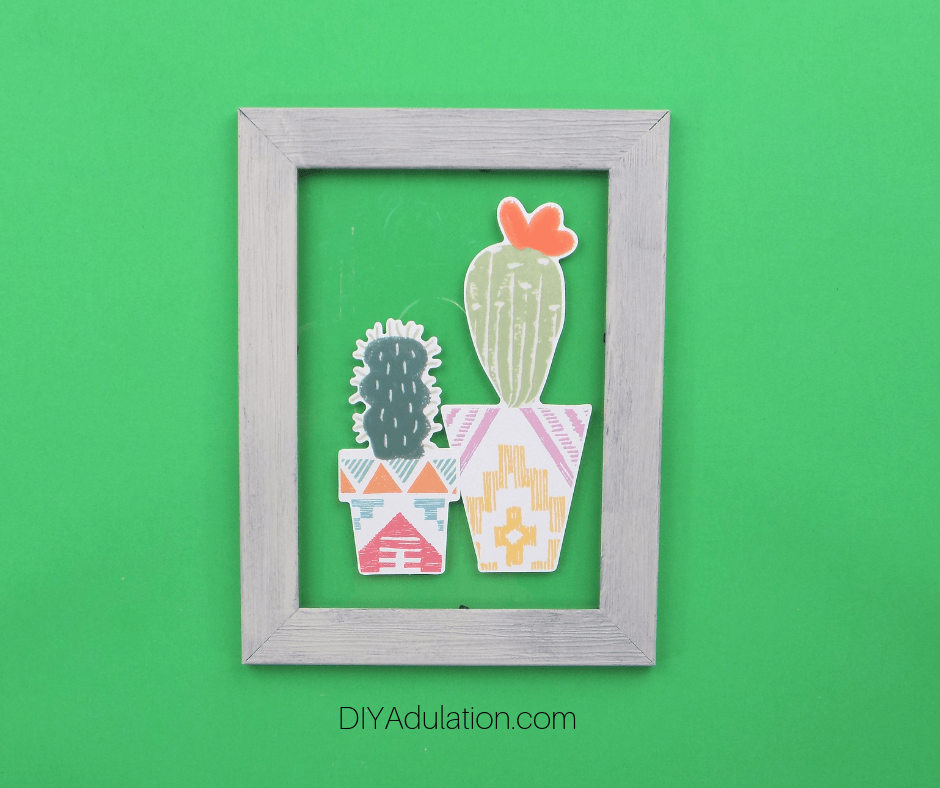 Glass Cactus Frames