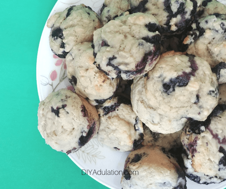 Crazy Easy Blueberry Muffins