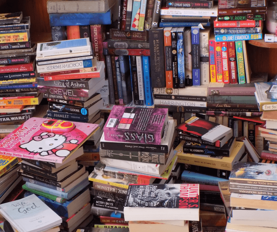 Stacks and Stacks of Books