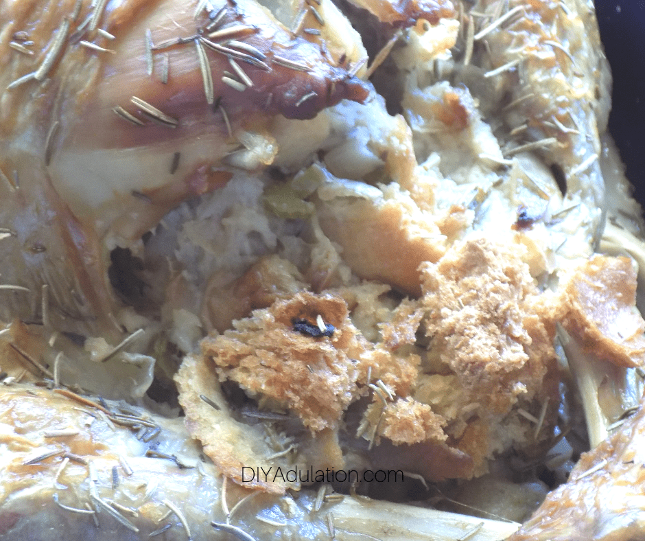 Close Up of Stuffing Inside Turkey