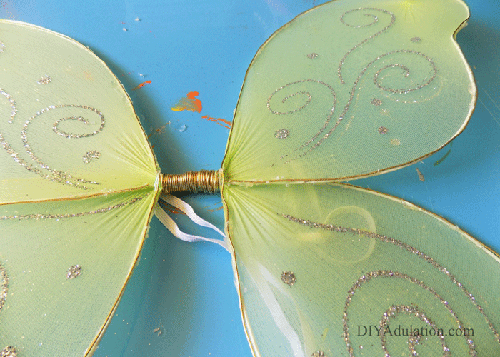 Gold Wire Outlining Wings